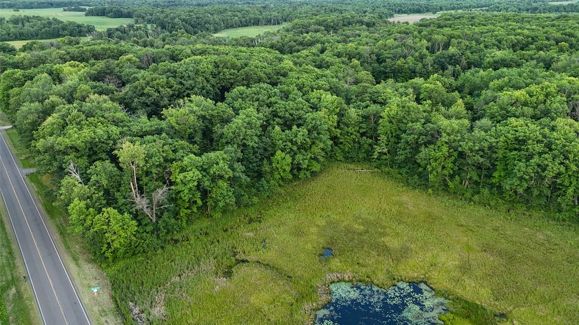 Discover the perfect blend of privacy, nature, and convenience - photo 17