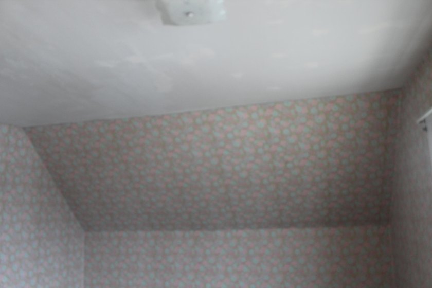 Great property , sound bones, lots of new windows, 10 room house - photo 29