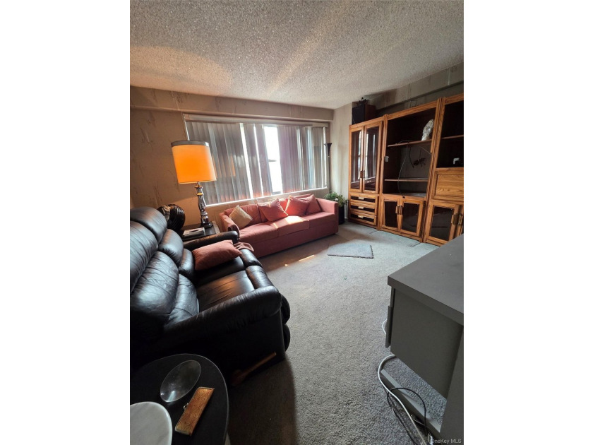 Luxury Coop Centrally Located . Move in Ready. Hardwood Floors - photo 3