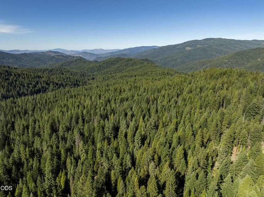 The Four Corners Ranch offers 897.32 acres of productive - photo 3
