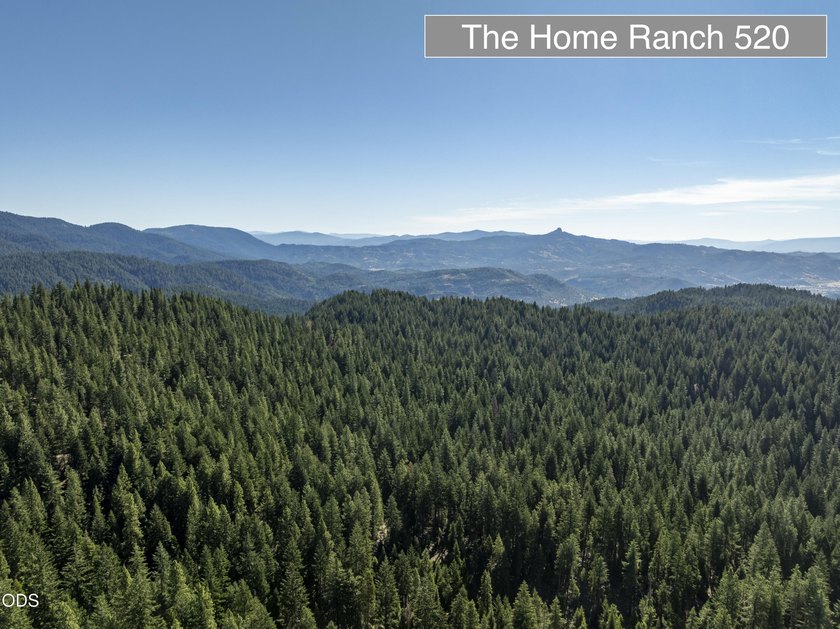 The Four Corners Ranch offers 897.32 acres of productive - photo 9