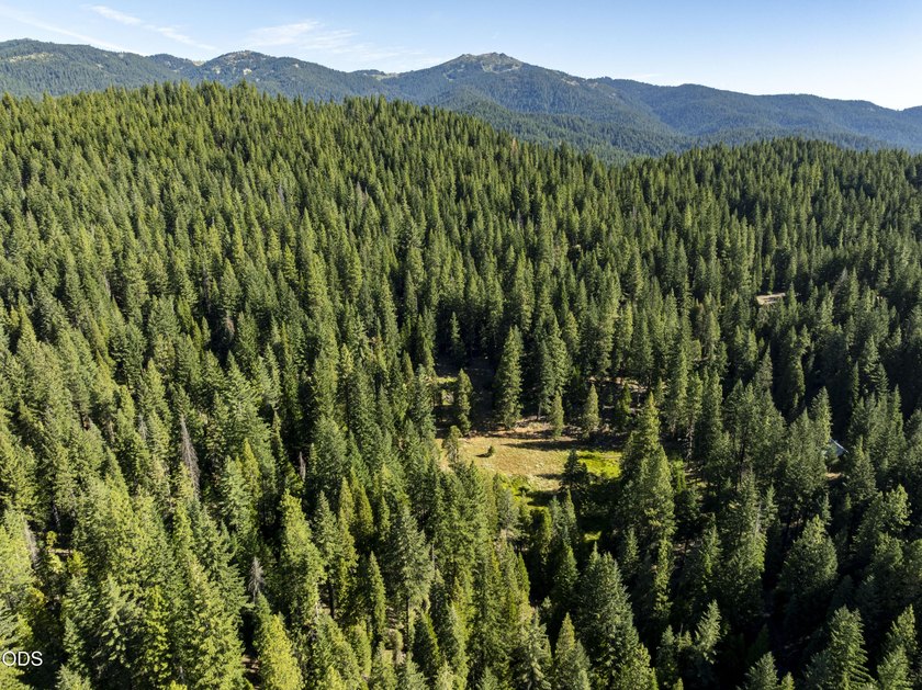 The Four Corners Ranch offers 897.32 acres of productive - photo 10