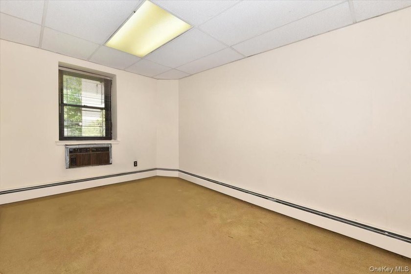 GREAT NECK 11021 - OFFICE or RESIDENTIAL Space!! // Unique co-op - photo 12