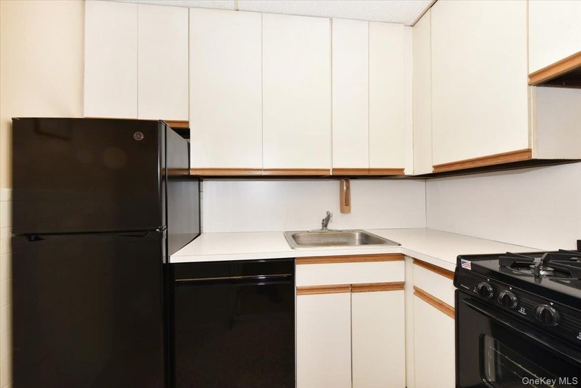 GREAT NECK 11021 - OFFICE or RESIDENTIAL Space!! // Unique co-op - photo 13