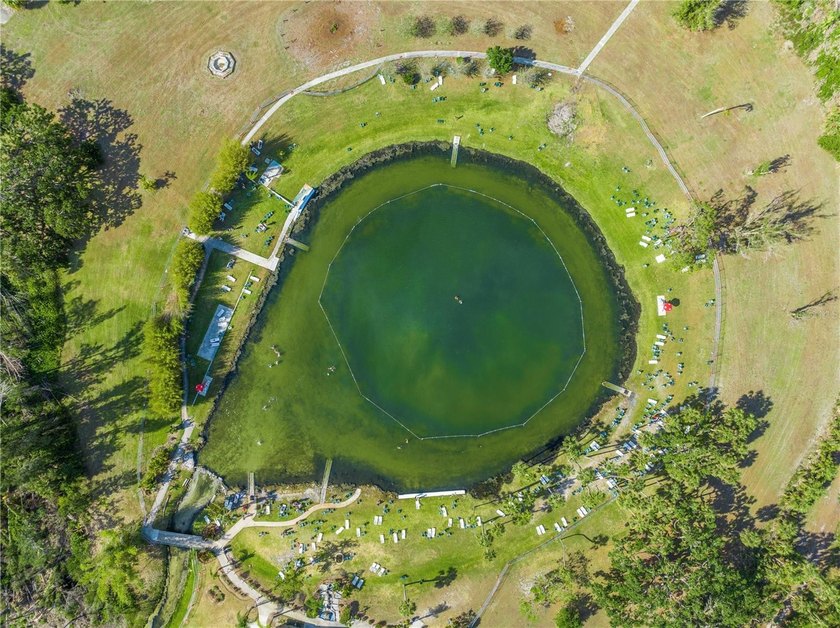 The seller has a survey, septic plan, and floor plan in their - photo 4