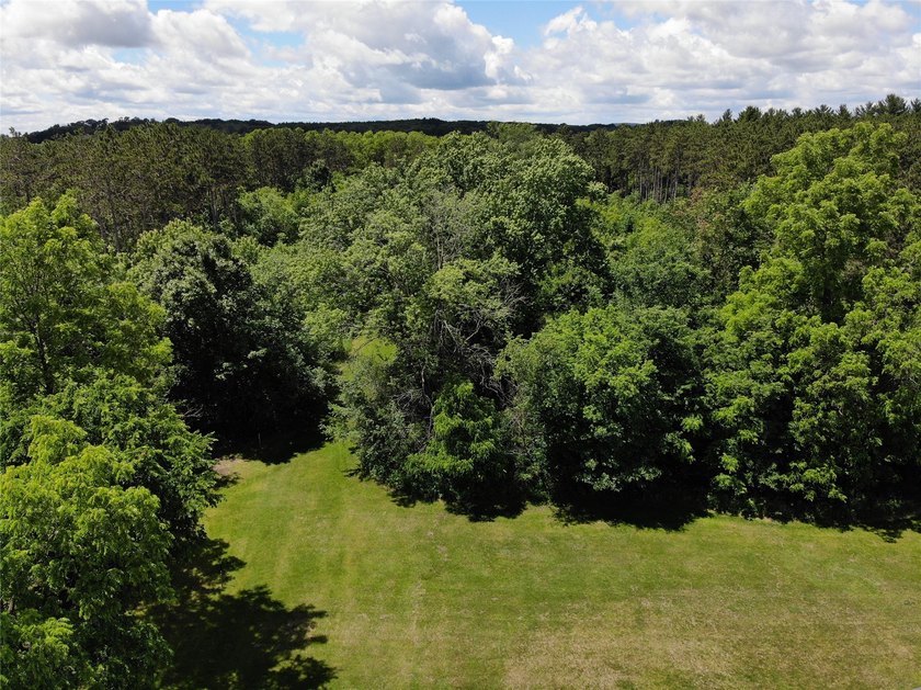 Check out this Fabulous 4 Bedroom 3 Full Bath Home on the edge - photo 48