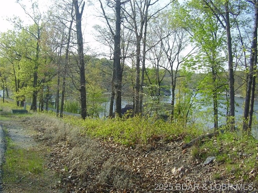 Nice Lake View Building Lot. Utilities above and below the Lot - photo 11