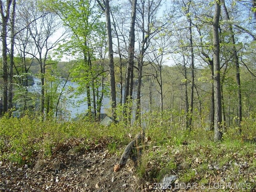 Nice Lake View Building Lot. Utilities above and below the Lot - photo 12