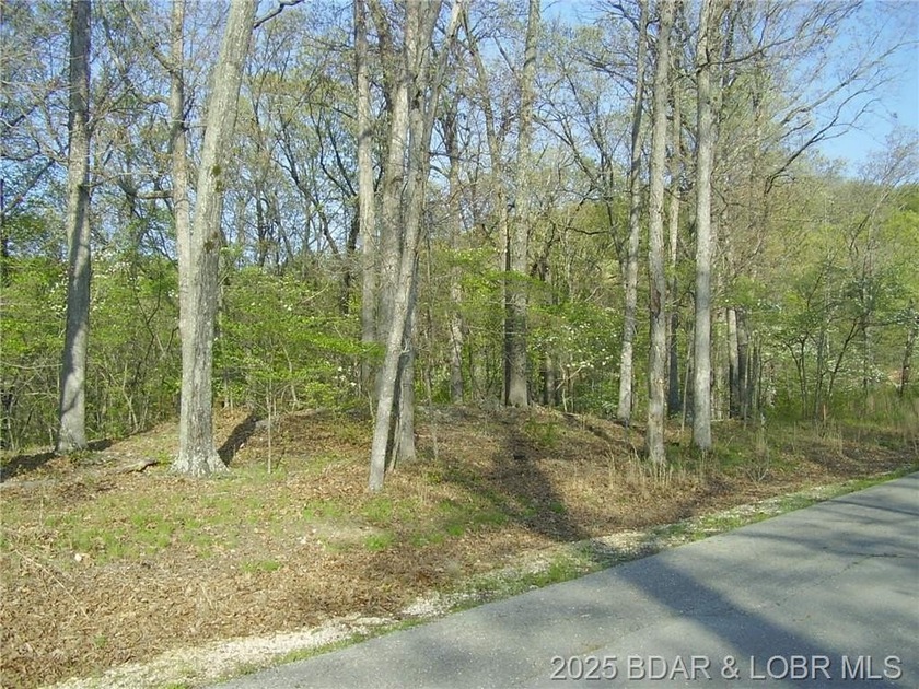 Nice Lake View Building Lot. Utilities above and below the Lot - photo 13