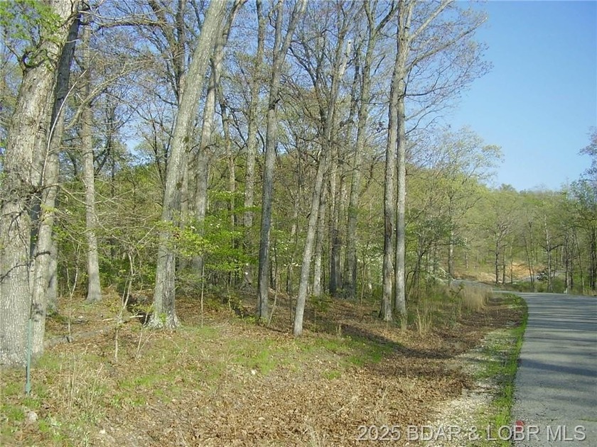 Nice Lake View Building Lot. Utilities above and below the Lot - photo 14