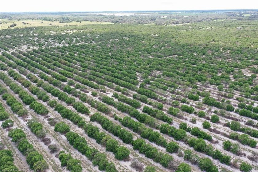 9.45 acres by Lake Angelo and adjacent to homes in Christy Jo - photo 2
