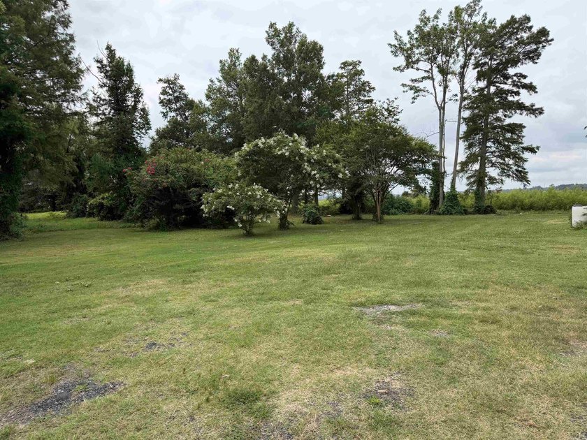 Cute home on Lakefront property! Covered back patio, and recent - photo 8