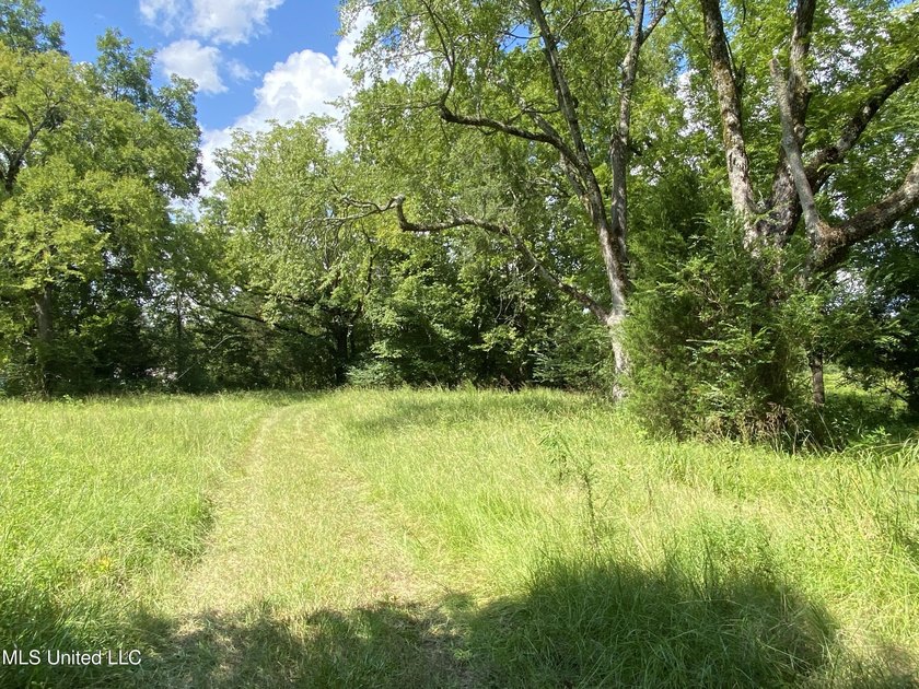 42 beautiful acres, with rolling pastures, mature trees and - photo 3