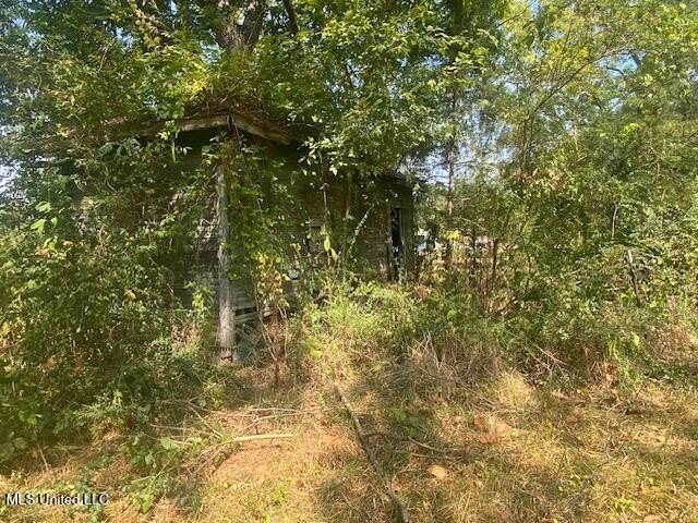 42 beautiful acres, with rolling pastures, mature trees and - photo 5