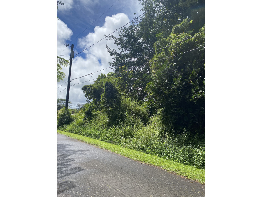 Beautiful wooded lot available in Hawaiian Parks Subdivision - photo 3
