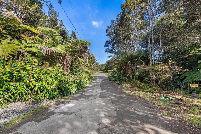 This forested lot in Volcano Village is a wonderful location to - photo 3