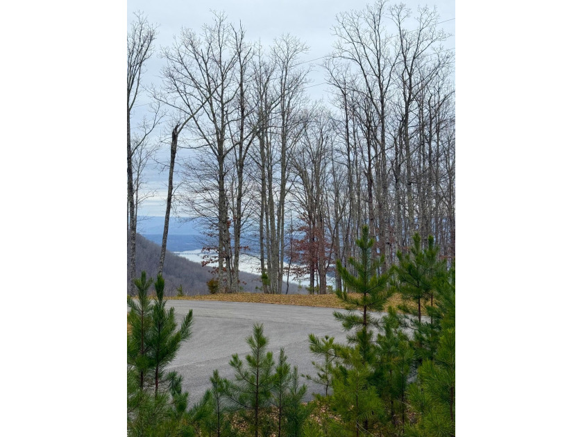 Private Remote Retreat!! Gated Sequatchie Point Secluded - photo 3