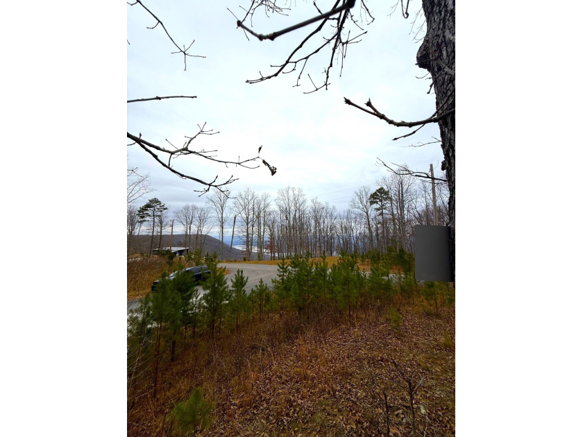 Private Remote Retreat!! Gated Sequatchie Point Secluded - photo 4