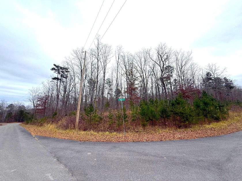 Private Remote Retreat!! Gated Sequatchie Point Secluded - photo 6