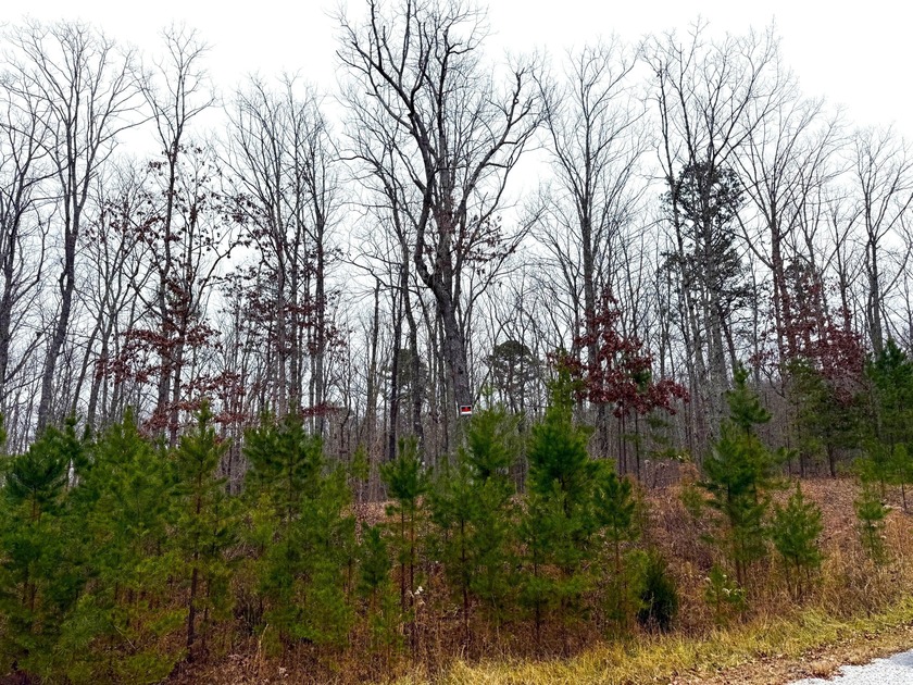 Private Remote Retreat!! Gated Sequatchie Point Secluded - photo 7