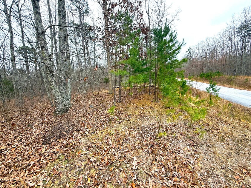 Private Remote Retreat!! Gated Sequatchie Point Secluded - photo 8