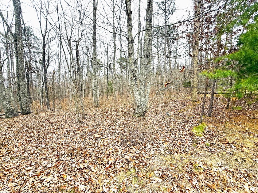 Private Remote Retreat!! Gated Sequatchie Point Secluded - photo 9