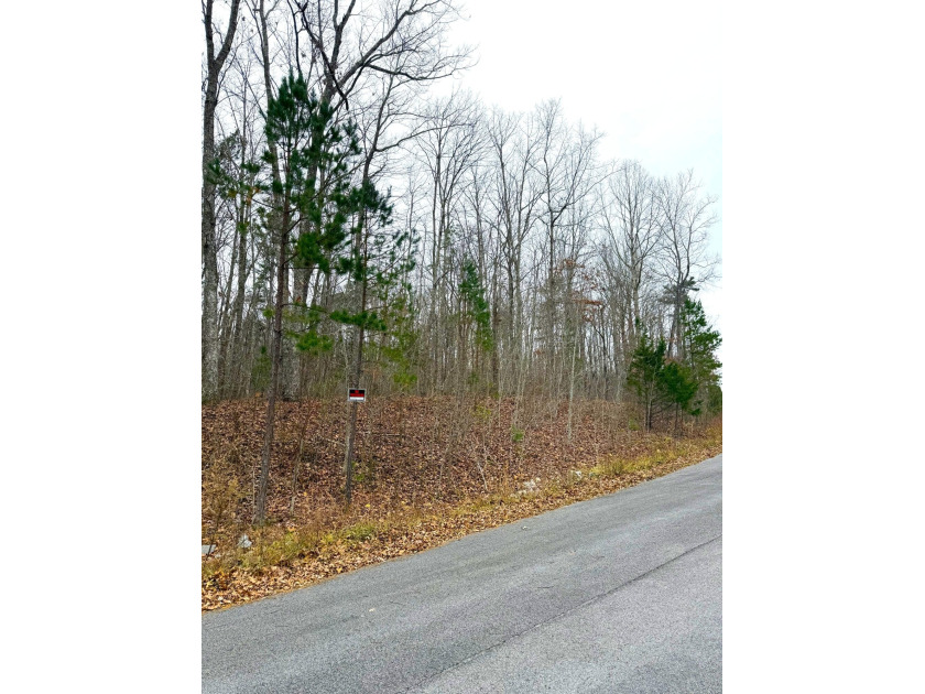 Private Remote Retreat!! Gated Sequatchie Point Secluded - photo 10