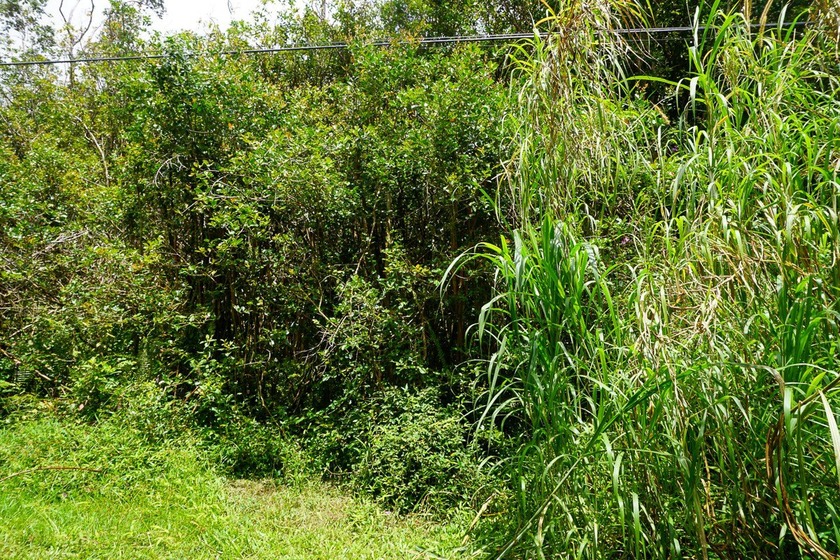 A great opportunity for land on the Big Island Of Hawaii. Nice - photo 4