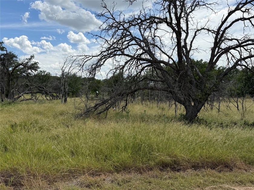 Lot 678 on Batten Drive in Kings Point Cove at The Hideout - photo 3