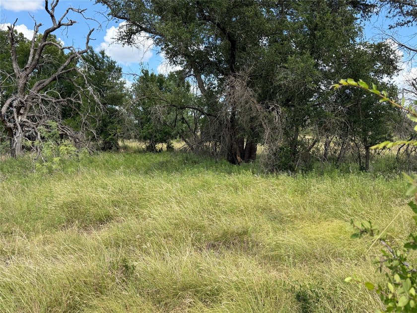 Lot 678 on Batten Drive in Kings Point Cove at The Hideout - photo 6