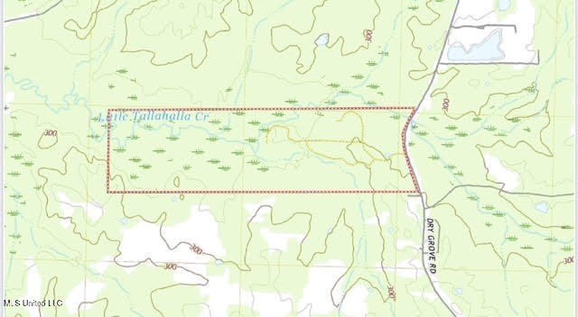 +/- 255 acres hunting and timberland property located in the Dry - photo 2