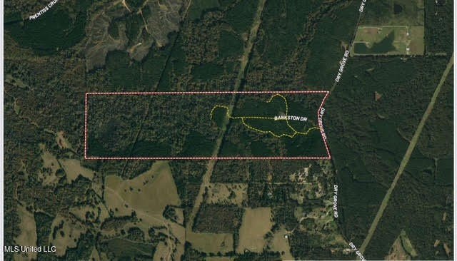 +/- 255 acres hunting and timberland property located in the Dry - photo 4