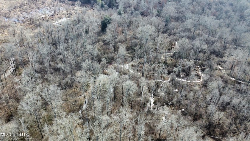 +/- 255 acres hunting and timberland property located in the Dry - photo 5