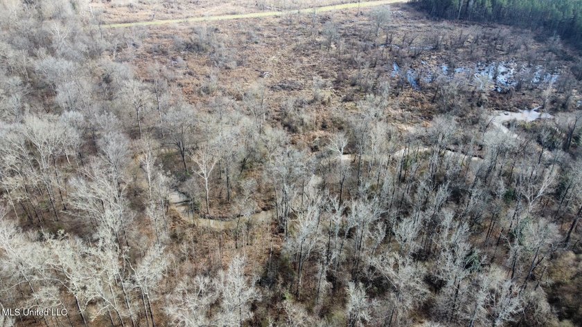 +/- 255 acres hunting and timberland property located in the Dry - photo 6