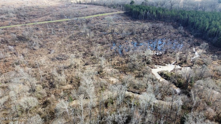 +/- 255 acres hunting and timberland property located in the Dry - photo 7