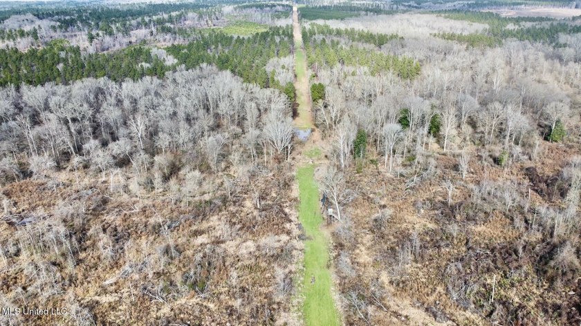 +/- 255 acres hunting and timberland property located in the Dry - photo 10
