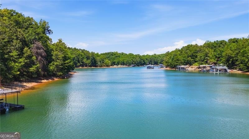 Welcome to your own private Lake Lanier retreat, where - photo 50