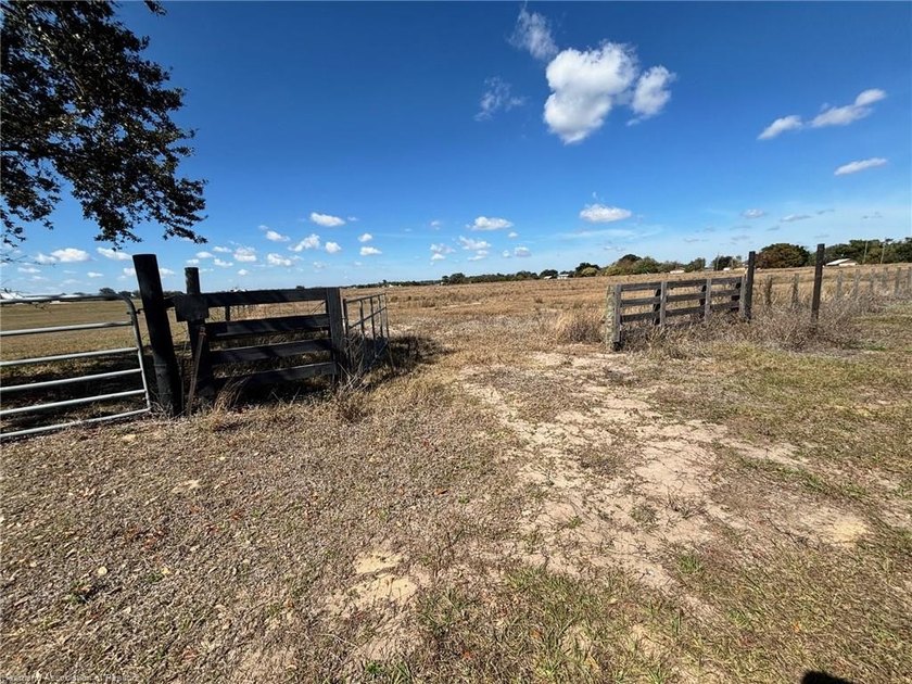 21.83 cleared acres in serene, pastoral setting surrounded by a - photo 28