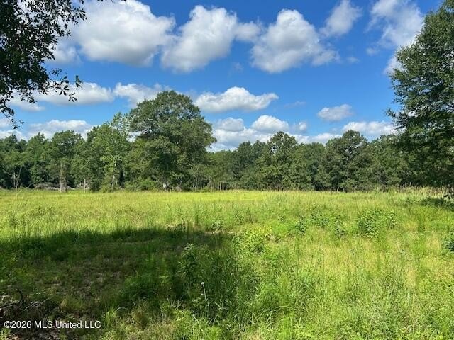 Beautiful 58.16-acre property offering endless possibilities for - photo 14