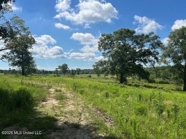 Beautiful 58.16-acre property offering endless possibilities for - photo 18