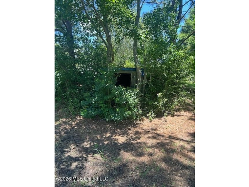 Beautiful 58.16-acre property offering endless possibilities for - photo 24