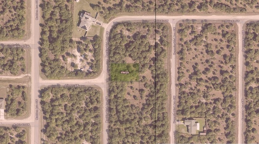 Beautiful Palm Bay building lot. Take advantage of our owner - photo 4