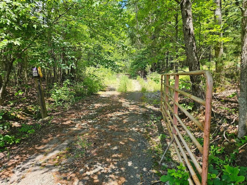At 540 ft ASL, the views are amazing. Located on Old Ferry Road - photo 3