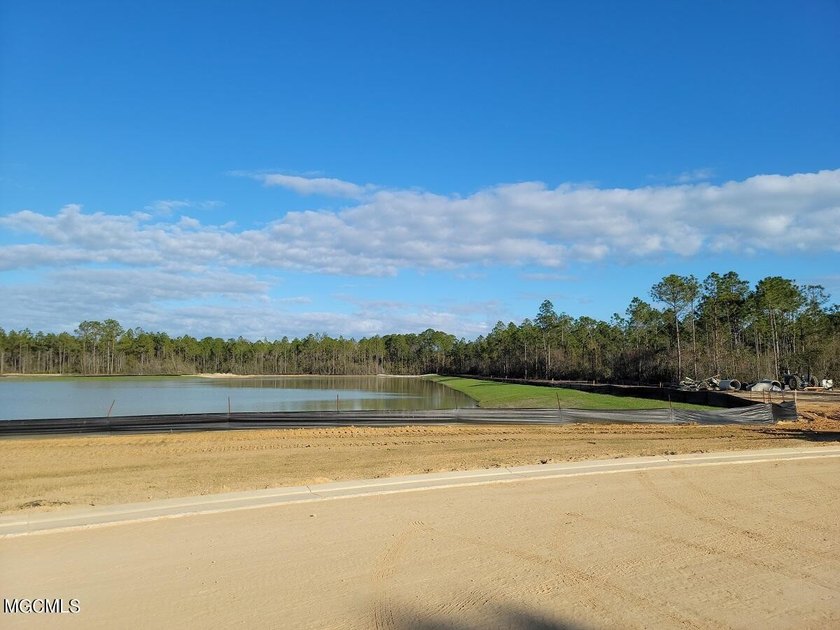 Welcome to the newest neighborhood on ''The Island'' Brookestone - photo 13
