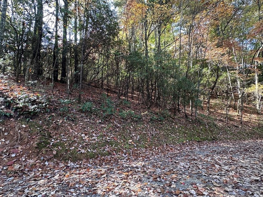 Discover the possibilities with this 8.07-acre mountain property - photo 4
