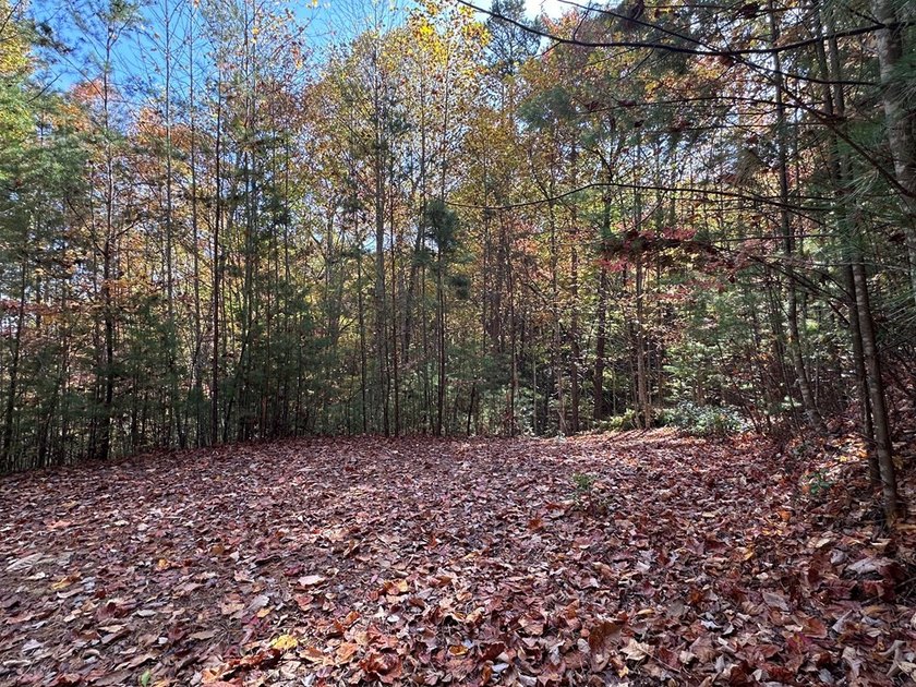 Discover the possibilities with this 8.07-acre mountain property - photo 5