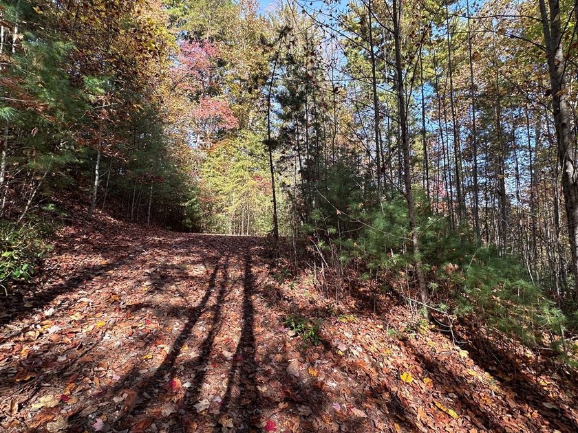 Discover the possibilities with this 8.07-acre mountain property - photo 8
