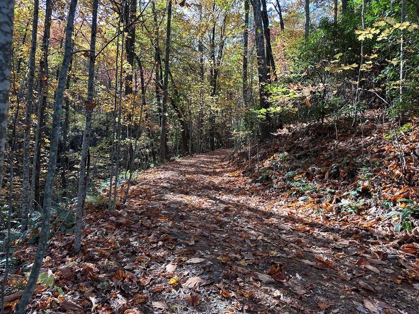 Discover the possibilities with this 8.07-acre mountain property - photo 10