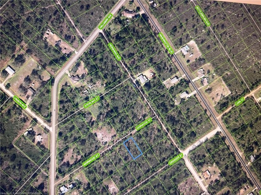 Oversized lot in Lake Placid, Highlands county Florida. Buy now - photo 2