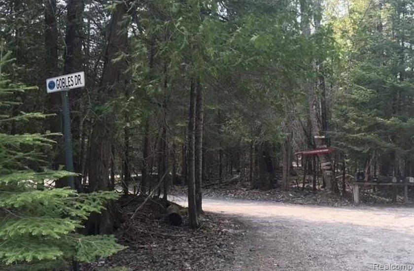 Secluded 2.40acre lot and 424.40 of waterfront on Lake Huron - photo 3